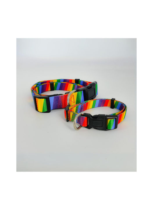 Hundehalsband Klein