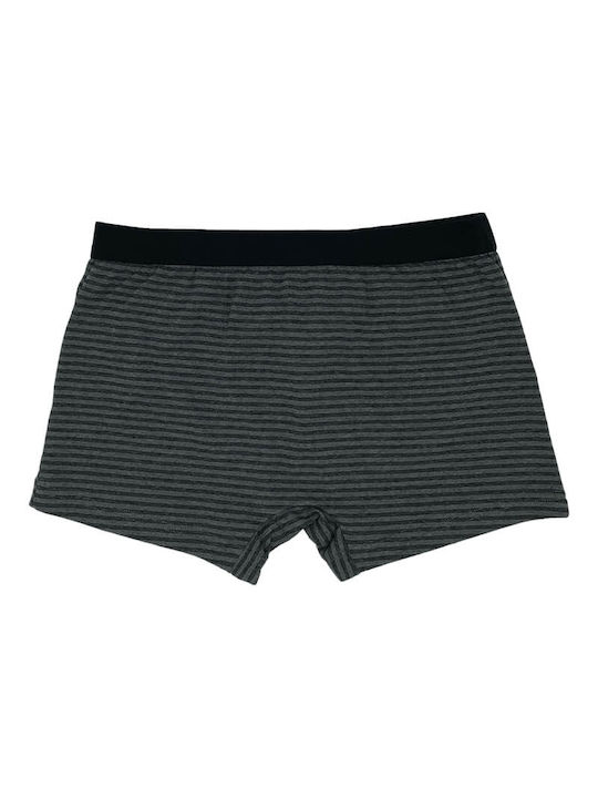 Men's Boxer Grey (grey)