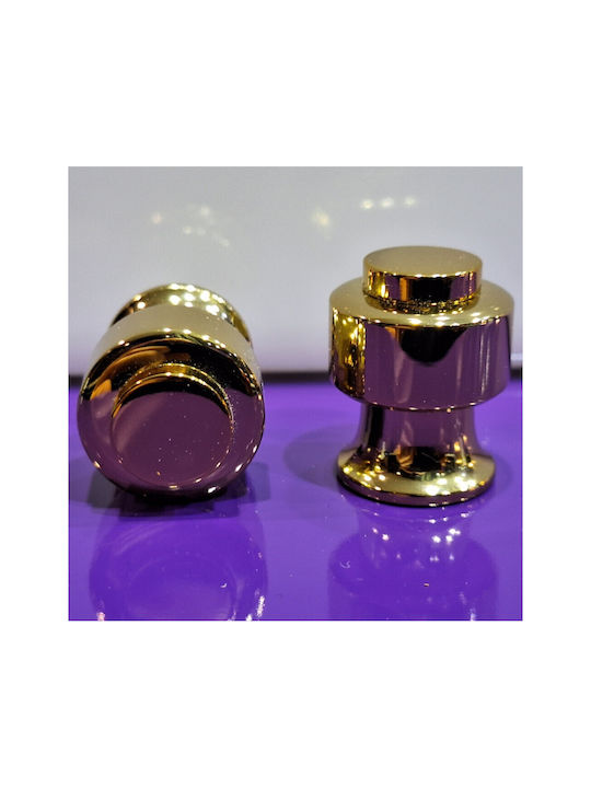 Eurofer Knob Furniture made of Metallic Gold-glossy 11793-000-BRZ2 1pcs