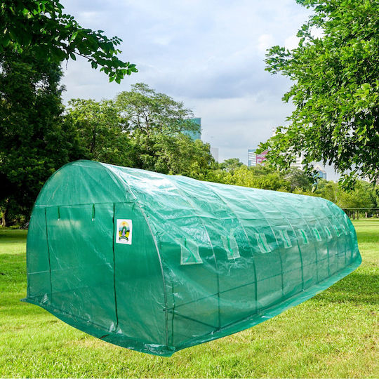 Seră 8x4x2.5m