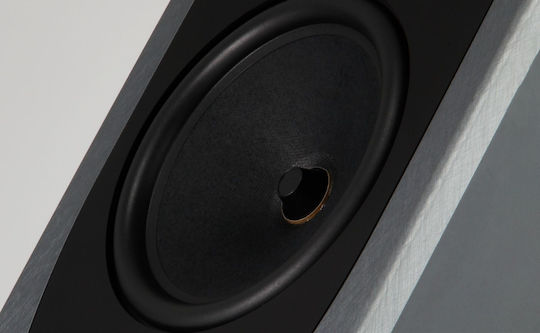 Rega AYA Pereche Boxe Hi-Fi pardoseală 110W 2.5 Nr. de șoferi L25.8xA21.5xÎ87.1cm. Gri