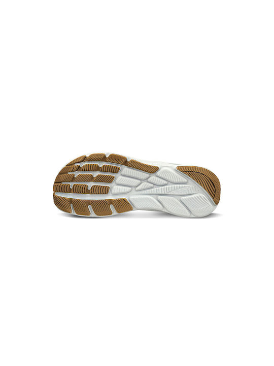 Rivera 4 Sport Shoes Running White