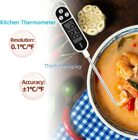 magazin online Termometru Cuptor cu Ac -50°C / +300°C