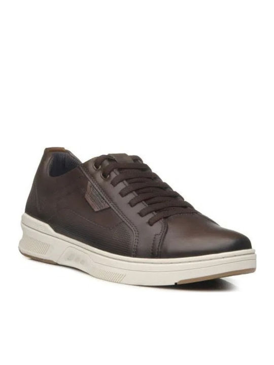 Herren Anatomisch Sneakers Coffee