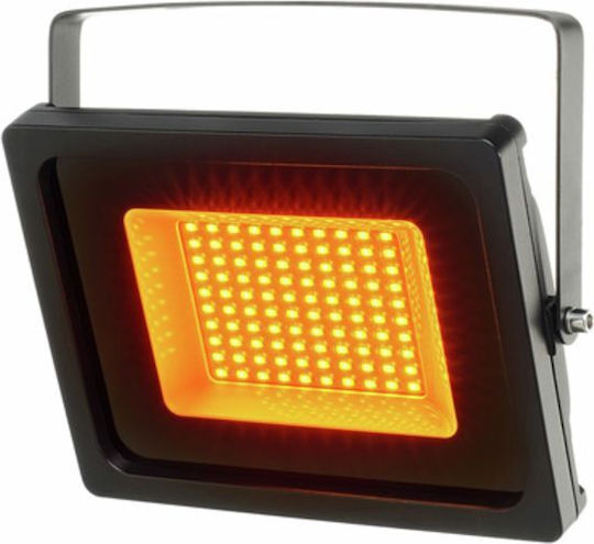 Eurolite Strobe Light LED IP FL-50 SMD Πορτοκαλί