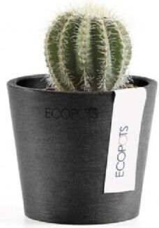 Ecopots 7400913 Ecopots 7400913