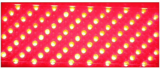 Ibiza Sound Stroboskoplicht LED DMX 260 Leds RGB