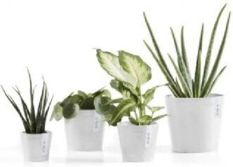 Ecopots Amsterdam Planter White 10.5x10.5x9.2cm.