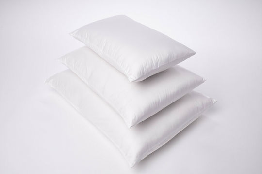 Valeria Home Perna Pat Cu Pene 30x50cm