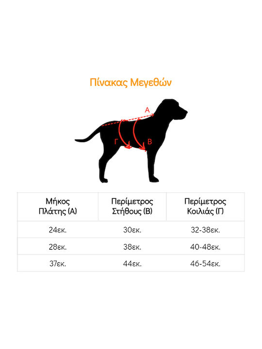 Woofmoda Φόρεμα Σκύλου XXLarge 37cm