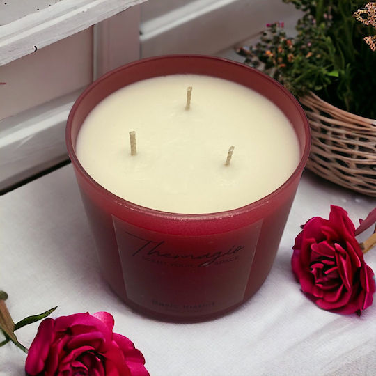 Themagio Pure Musk Soy Candle 600gr 77238 10cm X 9cm Themagio Pure Musk Soy Candle 600gr 77238 10cm X 9cm