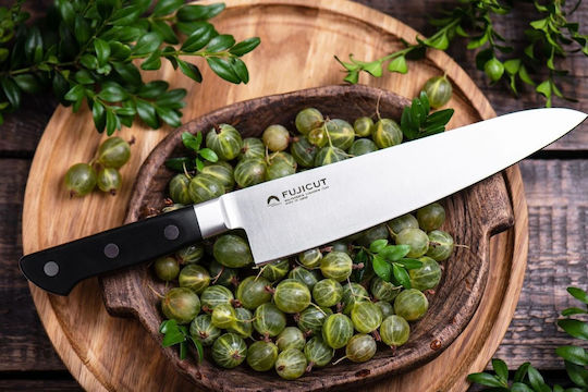 Dulotec Reigetsu Μαχαίρι Γενικής Χρήσης από Ανοξείδωτο Ατσάλι 21cm