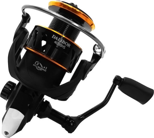 Oceanic Dalibor Fishing Reel for Eging and Spinning 3000