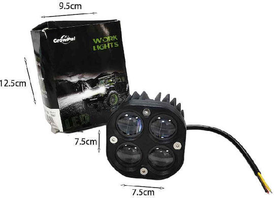 Growpal Led Car Headlight 12v-80v - Led Work Light Z696687