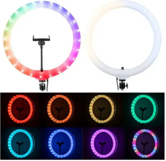 Led Ring Light RGB Ring Light 30cm with Floor Tripod and Mobile Phone Holder