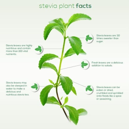 Stevia from German Farms 500 Gr