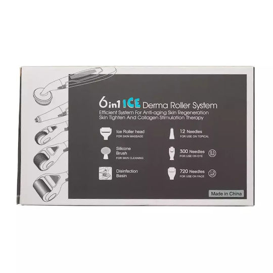 Σετ 6 Σε 1 Ice Derma Roller Με Βελόνες Τιτανίου Για Αντιγήρανση