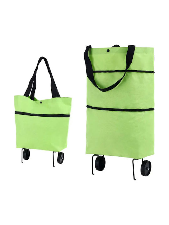 Shopping Bag in Green color