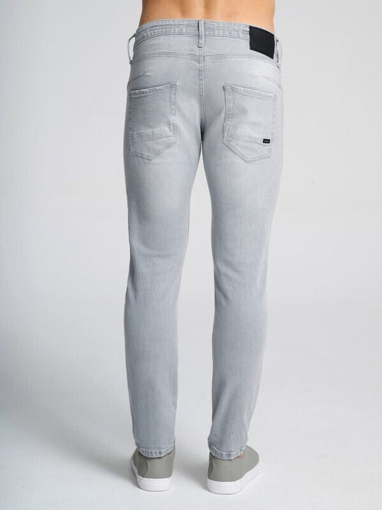 Staff Men's Jeans Pants Grey