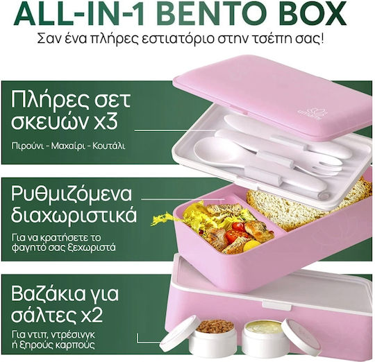 Mittagsboxen Rosa