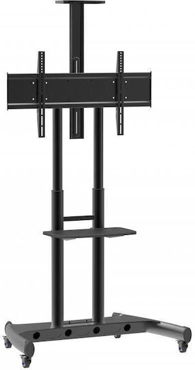 Blackmount BM-T104 TV Mount Floor up to 100" and 80kg Black