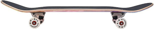 Micro Complete Shortboard Γκρι