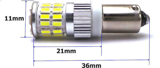 Lampen Auto BAx9S / BA9S Canbus LED 5500K Kaltes Weiß 12V / 24V 1Stück