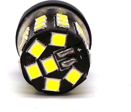 Лампи Автомобила W21W / DRL / W3x16d Canbus LED 5500К Хладно бяло 12V / 24V 1бр