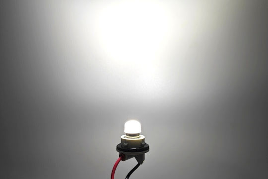 Lampen Auto DRL / P21W / R5W / BA15S / R10W Canbus LED 5500K Kaltes Weiß 12V 1Stück