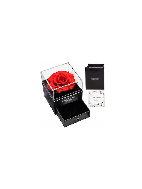 Eternal Rose Red in Box