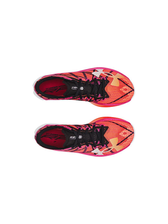 Velociti Elite 2 Ανδρικά Αθλητικά Παπούτσια Running Πολύχρωμα