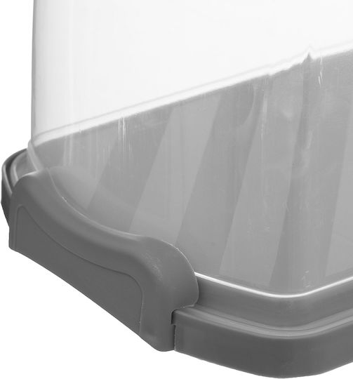 5Five Serving Platter Rectangular Transparent 36x13.3cm 5Five Serving Platter Rectangular Transparent 36x13.3cm