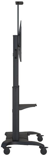 Multibrackets M Public Floorstand Dual Pillar 180 HD Suport TV pardoseală până la 100" și 90kg Negru