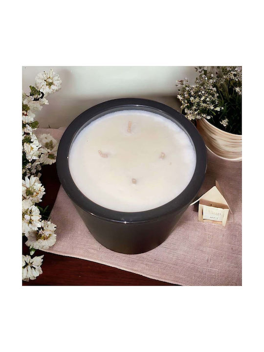 Themagio Soy Pure Musk Parfumat Lumânare parfumată în borcan 700gr 12.3x12cm 77253