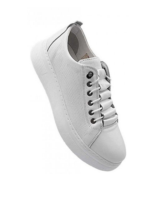 Pace Comfort