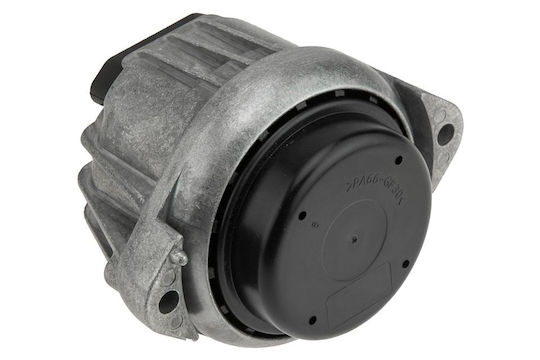 Aktion, Motor Zps-bm-006