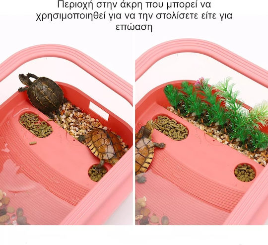 Reptile Terrarium Pink