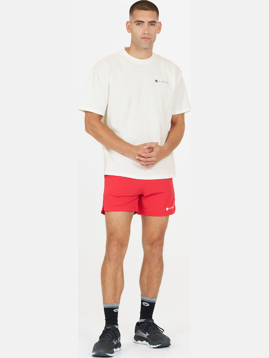 T-shirt Λευκό