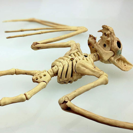 Accesoriu de Carnaval Alb pentru Halloween 1buc