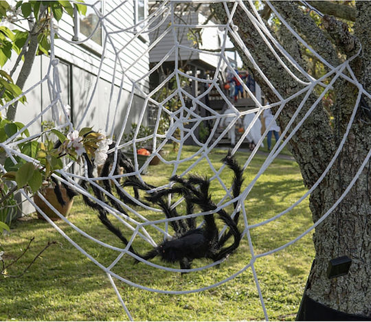 Karneval Zubehör Schwarz für Halloween aus Kunststoff 1Stück