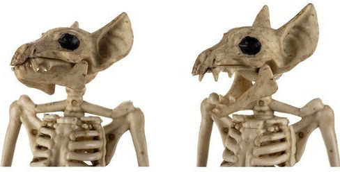 Accesoriu de Carnaval Alb pentru Halloween 1buc