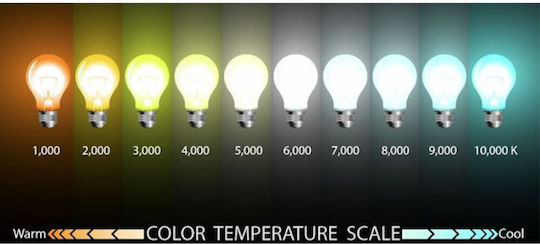 Eurolamp LED-Lampe 4W 140mm für Fassung E27 und Form ST64 Warmes Weiß 840lm