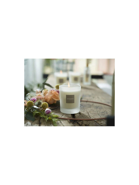 White Cotton Scented Candle - Esteban Paris