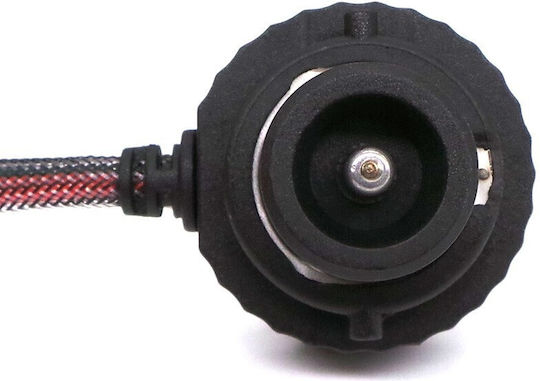 Lămpi Auto D4S / D4R Canbus LED 5500K Alb Rece 2 Bucăți