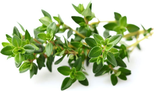Click and Grow Σπόροι Θυμάρι 3τμχ