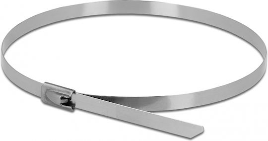 DeLock DeLock Metallic Cable Ties 300mm x 7.9mm in Silver Colour (10 pcs) 18772