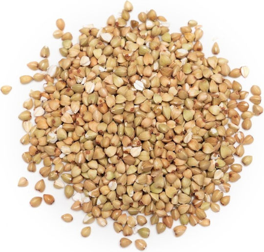 Panora Seeds Buckwheat 500gr 1pcs