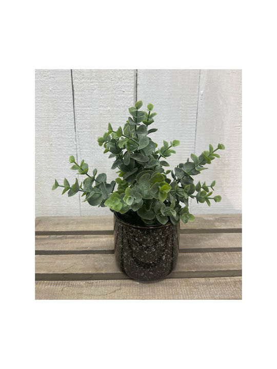 Ankor Artificial Plant in Small Pot Eucalyptus Brown 1pcs