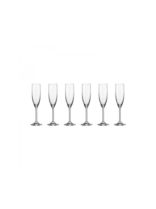 Leonardo Daily Set of Glasses Champagne made of Glass Stemmed 200ml 6pcs