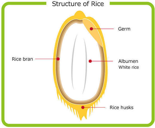 Rice Oil Vegetable Oil 500 Ml